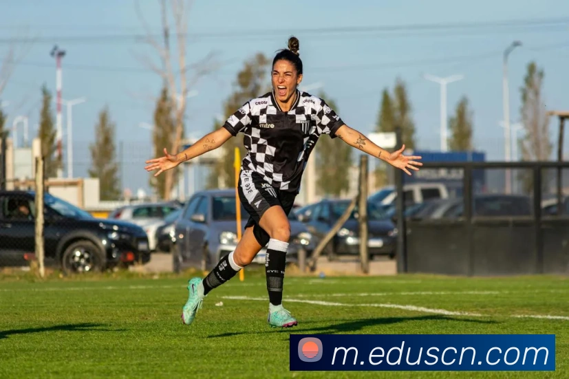 安博官网平台生态图