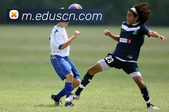 数据防护可视化